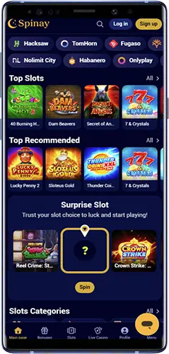 What's so special about the Spinay Casino app
